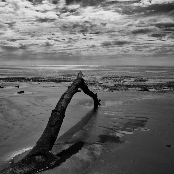 Corazón y estuario