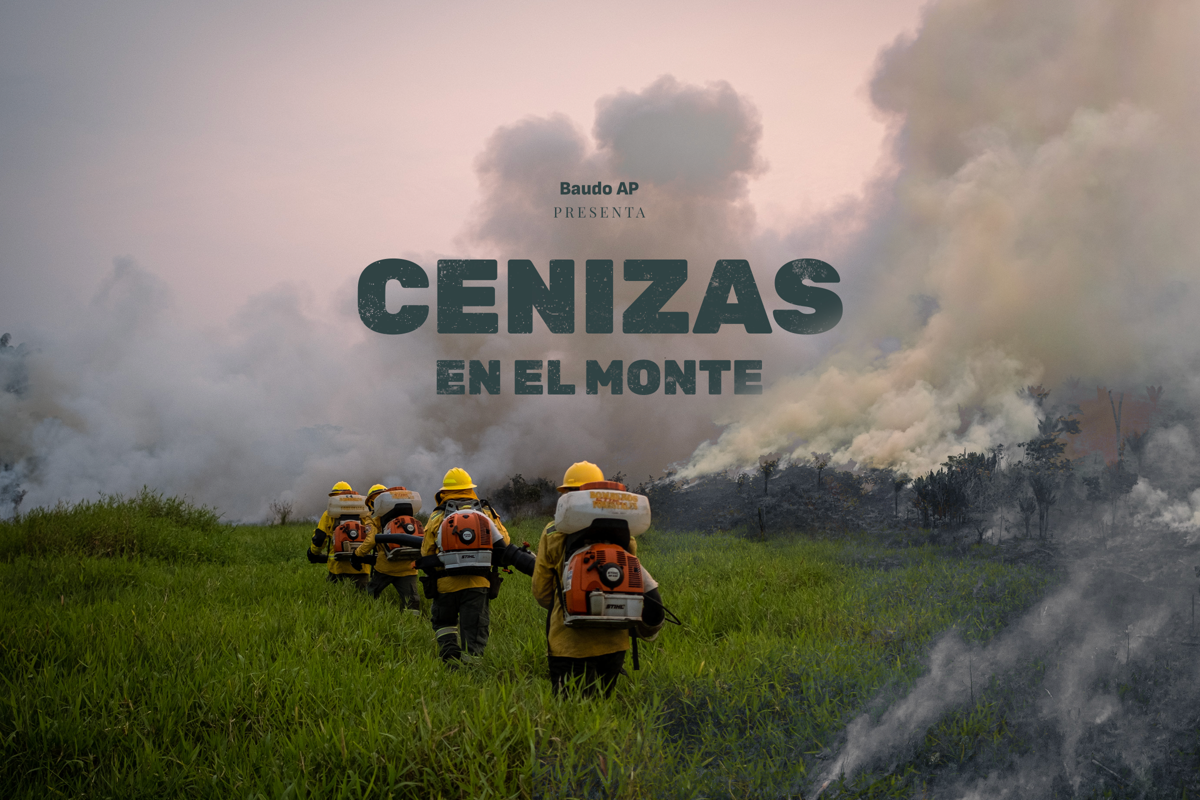 Cenizas en el monte